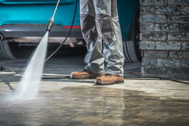 Best Graffiti Removal  in Shawneetown, IL