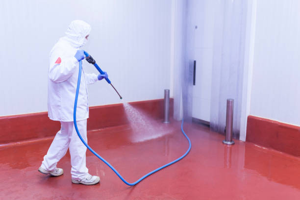 Best Factory Floor Cleaning  in Shawneetown, IL