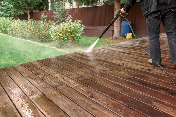 Best Roof Washing  in Shawneetown, IL