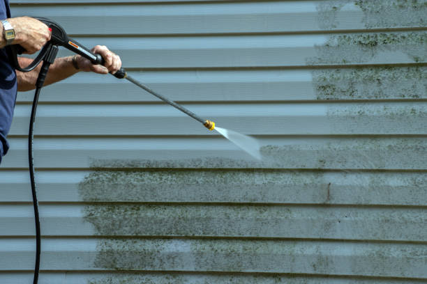 Best House Exterior Washing  in Shawneetown, IL